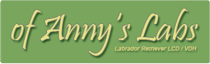 Banner of Anny's Labs zum Verlinken