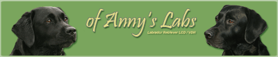 Banner of Anny's Labs zum Verlinken