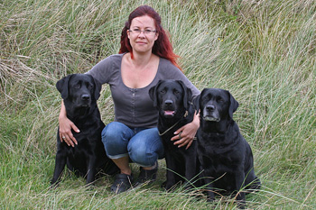 Labradors of Annys Labs