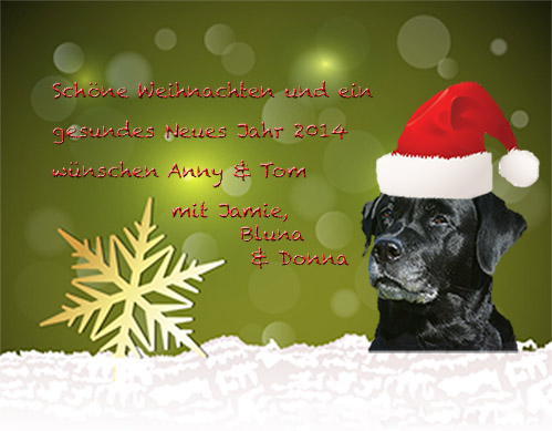annys-labs-xmas-2013_bearbeitet-1