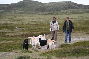 "Annys" und "Joyful" Labs